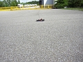 bild (4)
